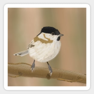 Marsh tit Magnet